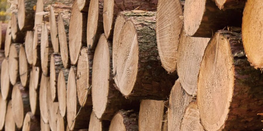 troncos-madera